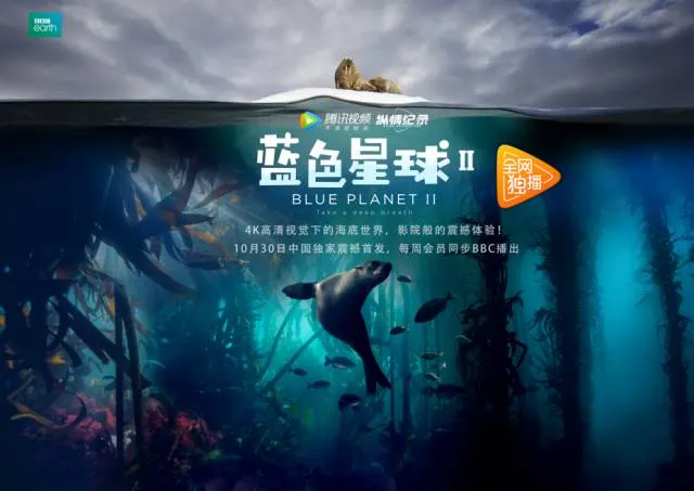 一个女人韩剧剧照3