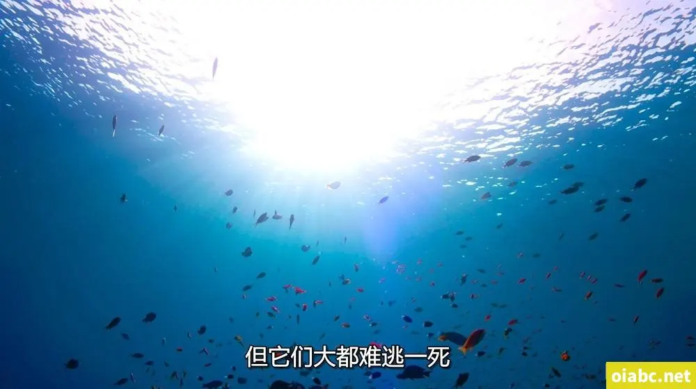 和平精英四大神器剧照1